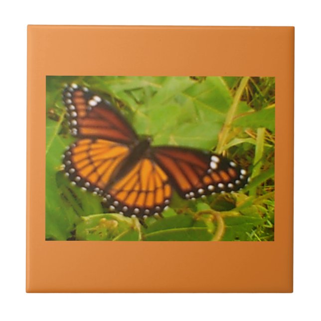 Orange Monarch Ceramic Tile (Front)