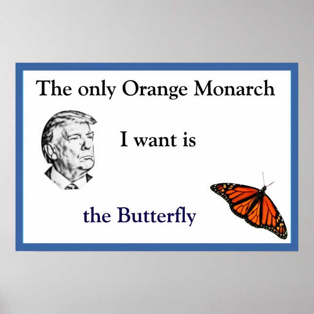 Orange Monarch Poster (Front)