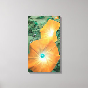 Orange Morning Glories Wrapped Canvas Print