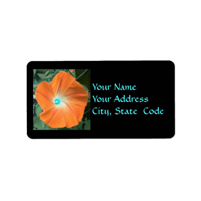 Orange Morning Glory Address labels (Front)