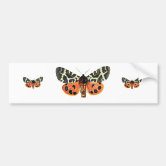 orange moth bumper sticker