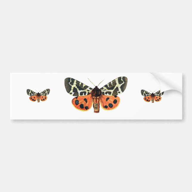 orange moth bumper sticker (Front)