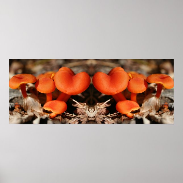 Orange Mushroom Family Mirror Abstract Poster (Front)