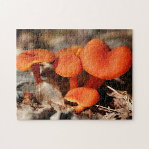 Orange Mushroom Family Nature   Jigsaw Puzzle