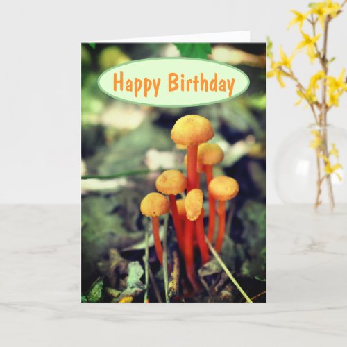 Orange Mushrooms Nature Birthday  Card