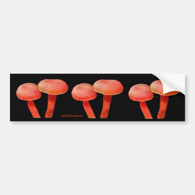 Orange Mushrooms Nature Photo Bumper Sticker (Front)