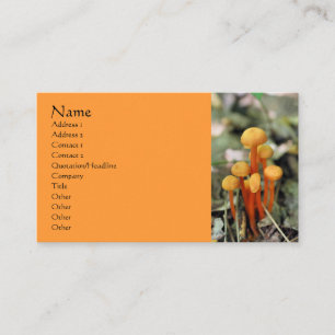 Orange Mushrooms Nature Photography Business Card
