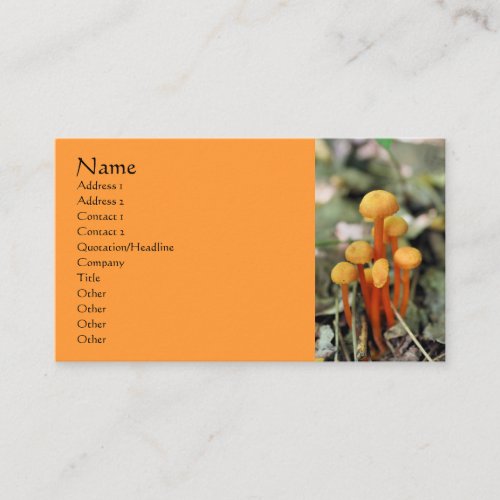 Orange Mushrooms Nature Photography Business Card