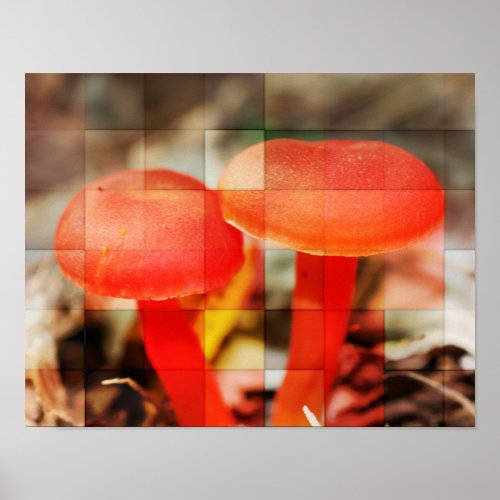 Orange Mushrooms Through Glass Nature Poster