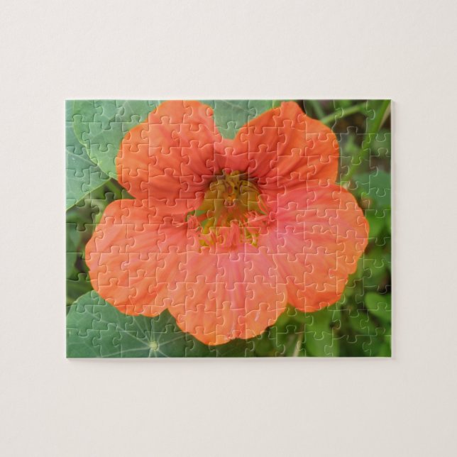 Orange Nasturtium Flower Puzzle (Horizontal)