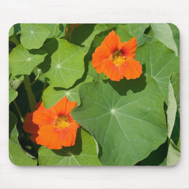 Orange Nasturtium Mouse Pad (Front)