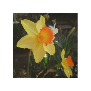 Orange Nosed Daffodil Wood Wall Decor by FindingTheSilverSun at Zazzle