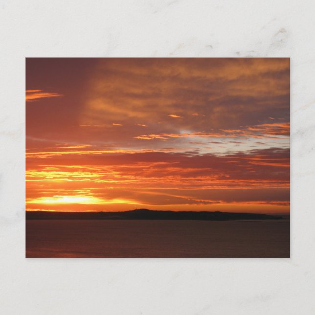 Orange Ocean Sunset Photography  Postcard (Front)