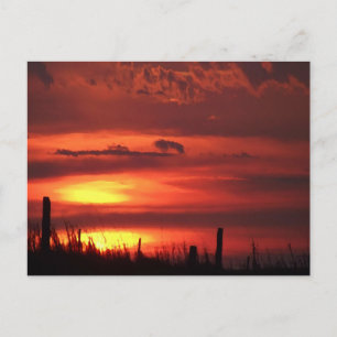 Orange Oklahoma Sunrise on the Plains Landscape  Postcard