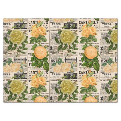 Orange  Olive Roses on Vintage Newsprint Tissue Paper