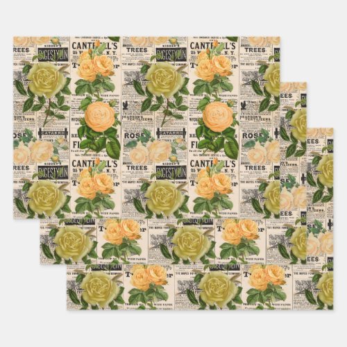 Orange  Olive Roses on Vintage Newsprint Wrapping Paper Sheets