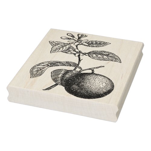 Orange on Branch with Blossoms Rubber Stamp