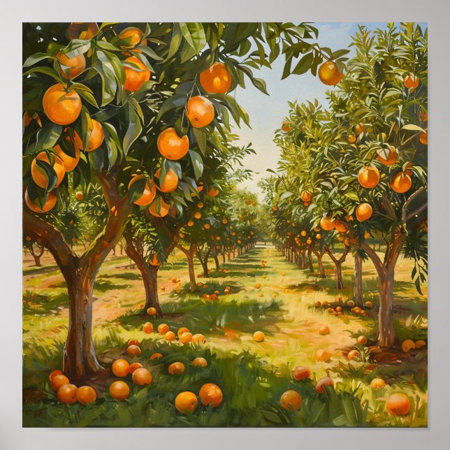 Orange Orchard Poster (Front)