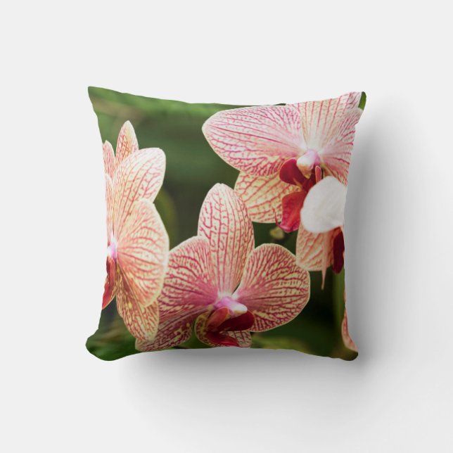 Orange Orchid Hybrid, South Africa Throw Pillow (Front)
