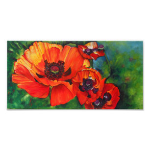 Orange Oriental Poppies Photo Print