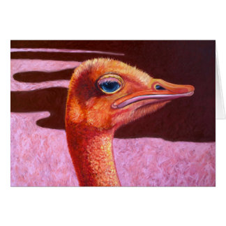 Orange Ostrich Cards