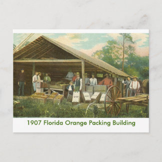Orange Packing Building Postcard