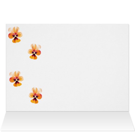 orange pansies (Inside Horizontal (Top))