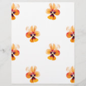 orange pansies (Front)