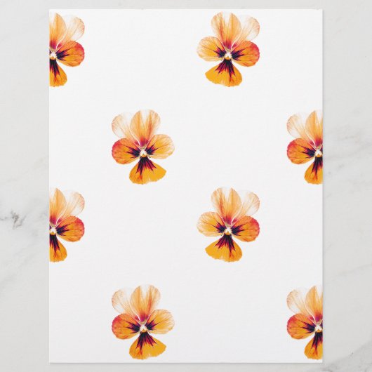 orange pansies (Front)