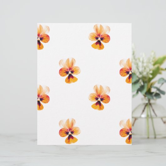 orange pansies (Standing Front)