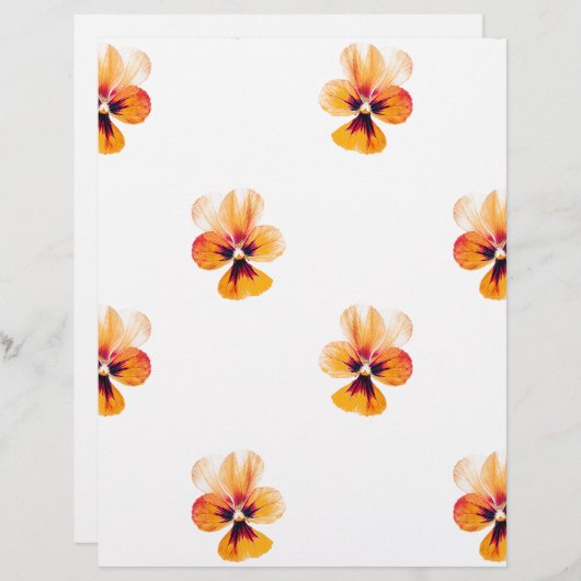orange pansies (Front/Back)