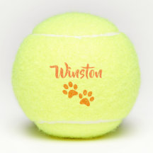 Orange Paw Print Personalized Pet or Dog Name Toy
