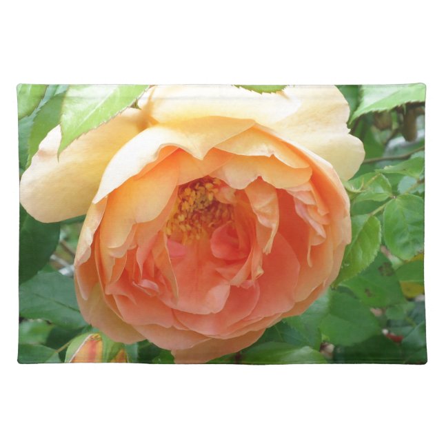 Orange peach Blush Rose photo  Cloth Placemat (Front)