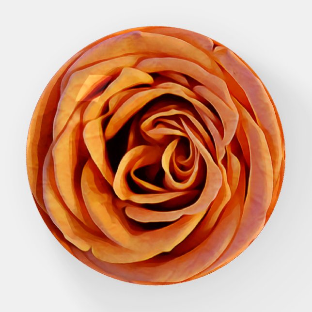 Orange Peach Rose Petals Paperweight (Front)