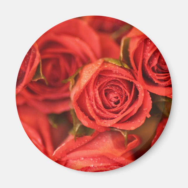 Orange peachy roses photo art magnet (Front)