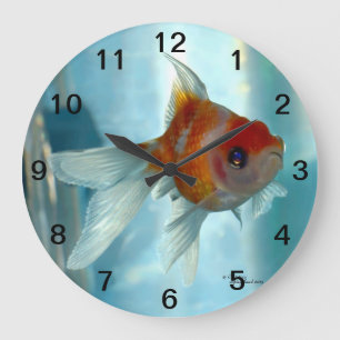 Orange pearlscale goldfish Wall Clock