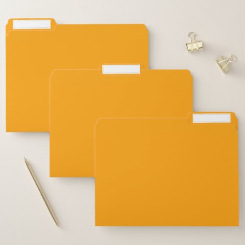 Orange Peel Solid Color File Folder