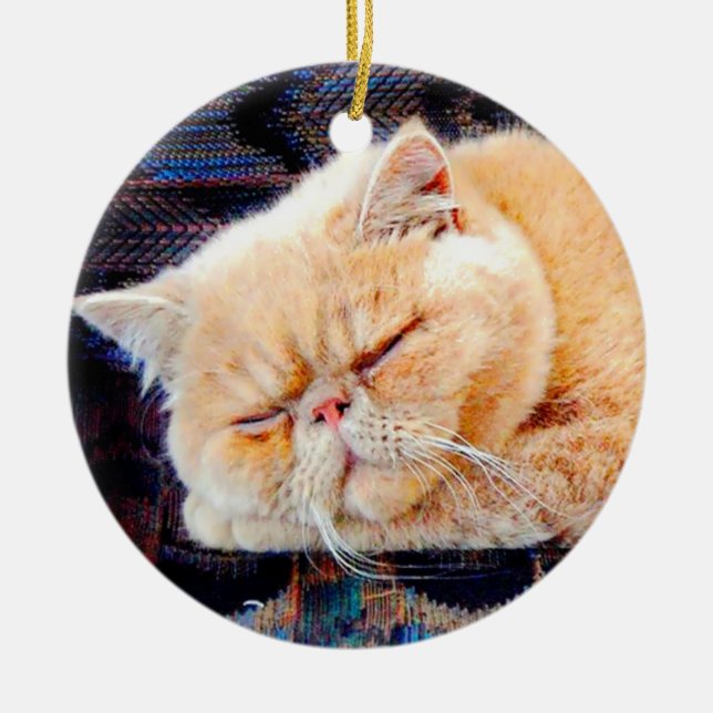 Orange Persian Cat Ceramic Ornament (Front)