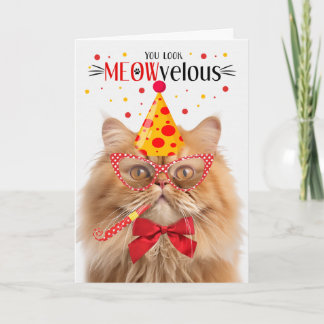 Orange Persian Cat MEOWvelous Birthday Card