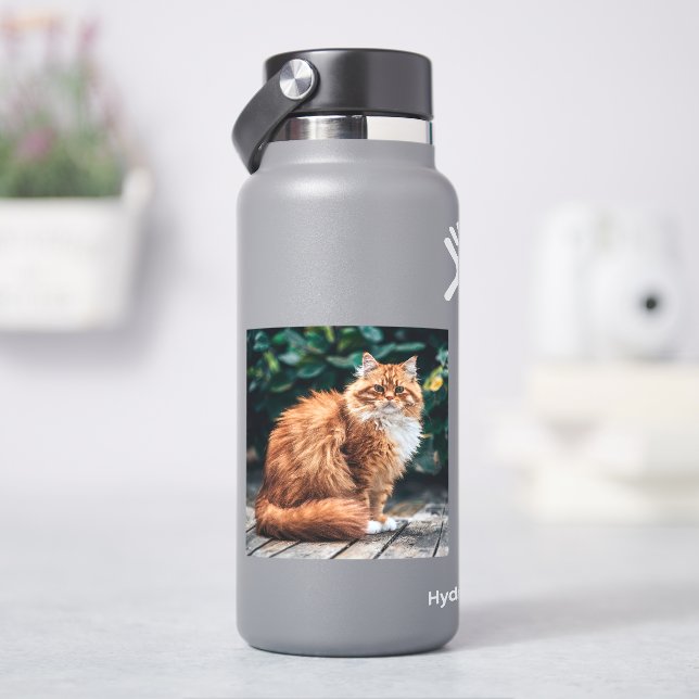 Orange Persian Cat Sticker (HydroFlask)