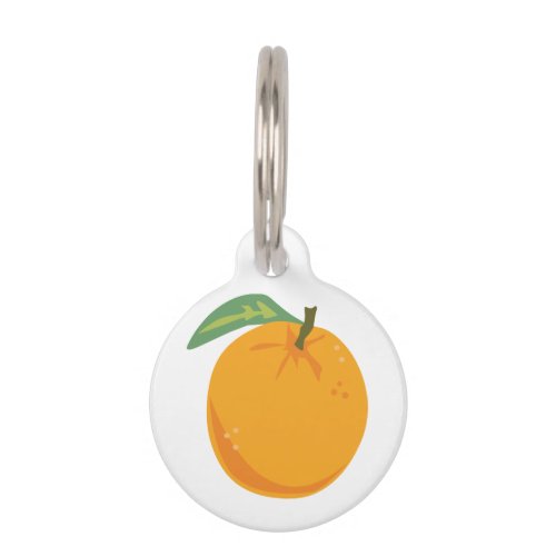 Orange Pet ID Tag