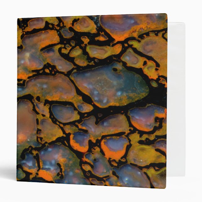 Orange Petrified dinosaur bone 3 Ring Binder (Front/Inside)