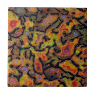 Orange Petrified Dinosaur Bone Ceramic Tile