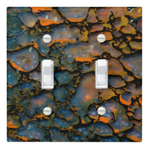 Orange Petrified dinosaur bone Light Switch Cover