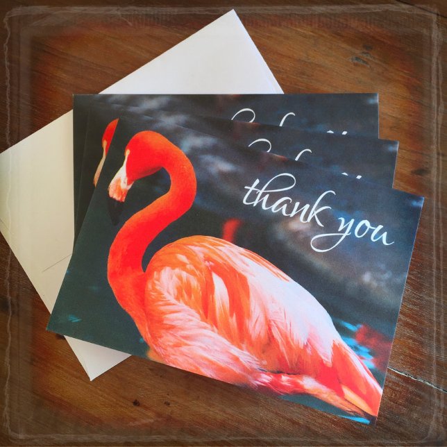 Orange pink flamingo photo thank you note card (Creator Uploaded)