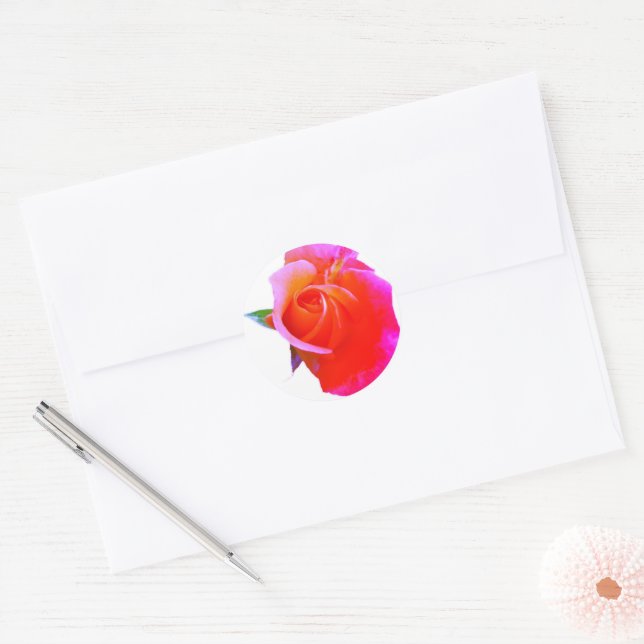 Orange Pink Rose Stikers Classic Round Sticker (Envelope)