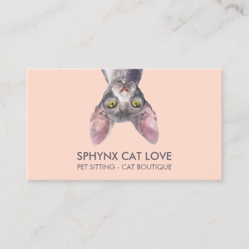 Orange Pink Sphynx Cat Business Card