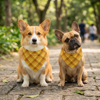 Orange Plaid Bandana