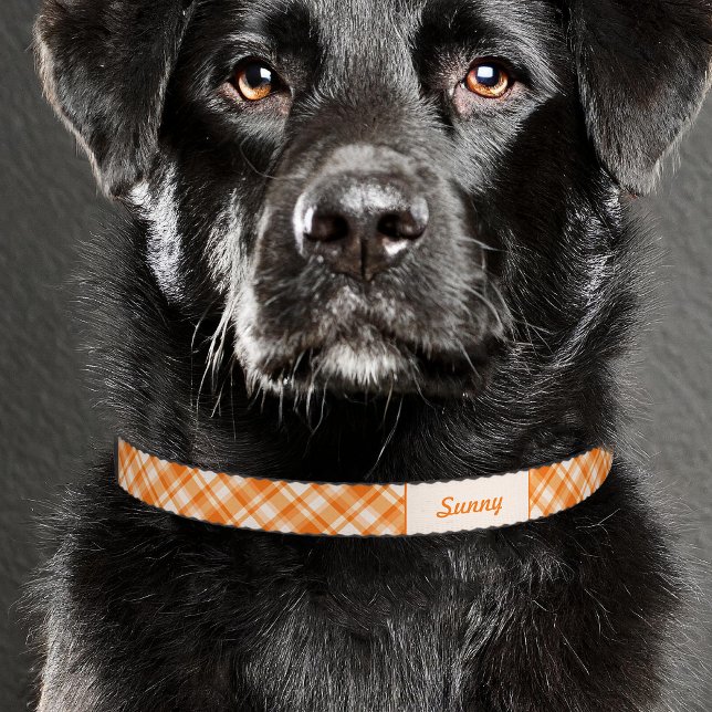 Orange Plaid Pattern With Custom Pet Name Pet Collar (Please note: This image is a digital mockup. The product may not be in scale.)