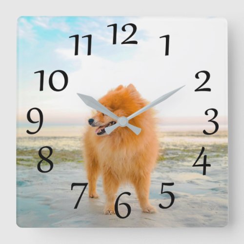 Orange Pomeranian on the Beach Wall Clock